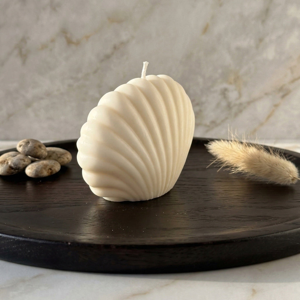 Sculpted Shell