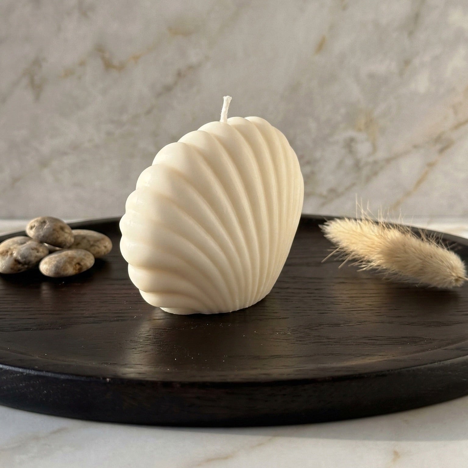 Sculpted Shell